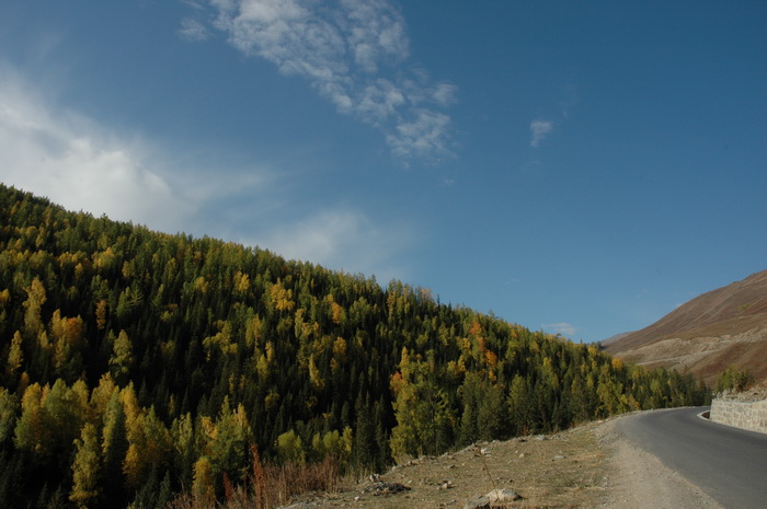 DSC_9567_������С.JPG