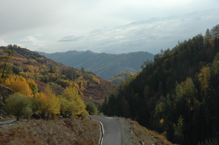 DSC_9578_������С.JPG