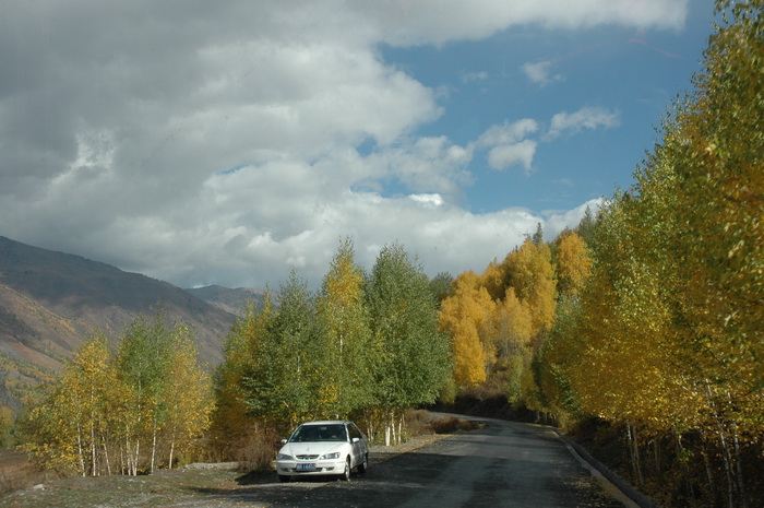 DSC_9628_������С.JPG