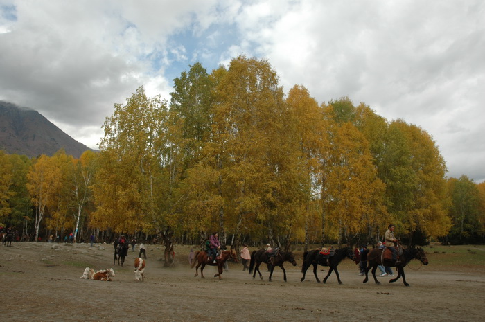 DSC_9706_������С.JPG