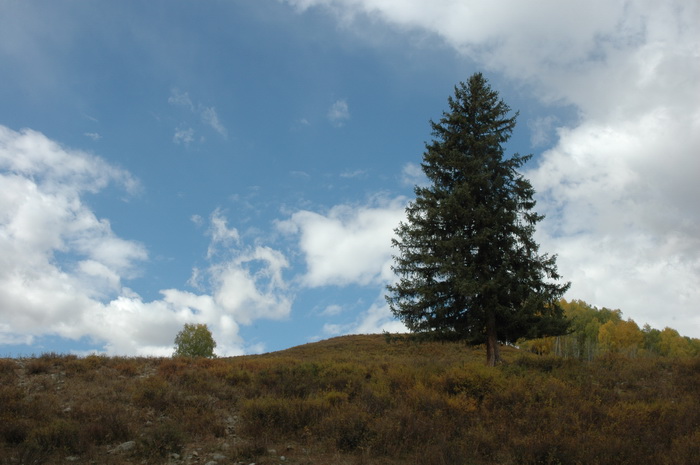 DSC_9714_������С.JPG