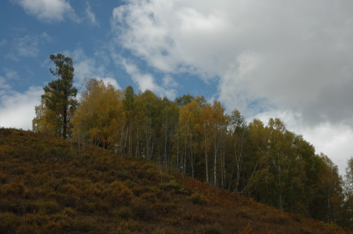 DSC_9722_������С.JPG