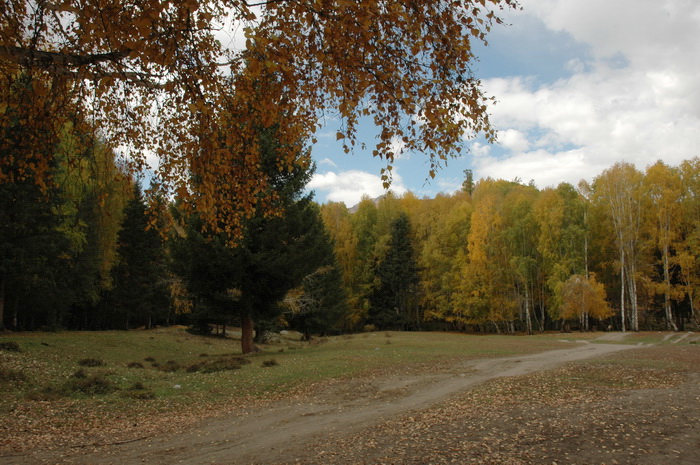 DSC_9705_������С.jpg