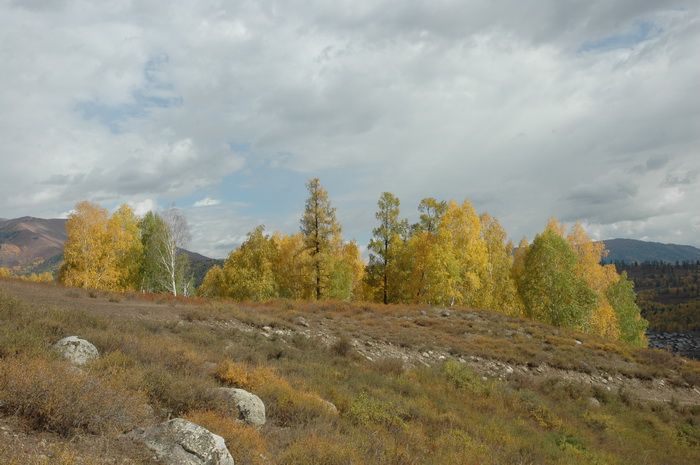 DSC_9736_������С.JPG