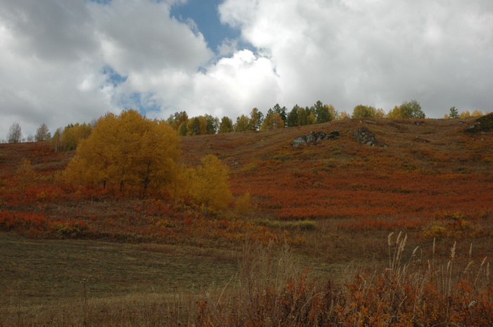 DSC_9799_������С.JPG
