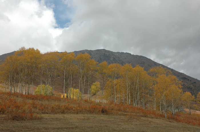 DSC_9800_������С.JPG