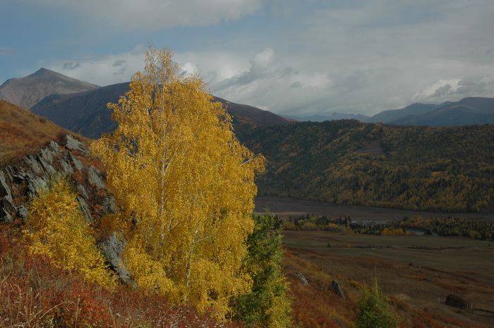 DSC_9817_������С.JPG