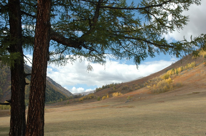 DSC_9849_������С.JPG