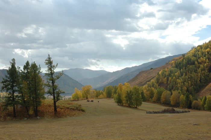 DSC_9903_������С.JPG
