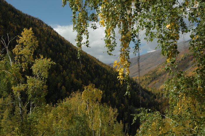 DSC_9915_������С.JPG