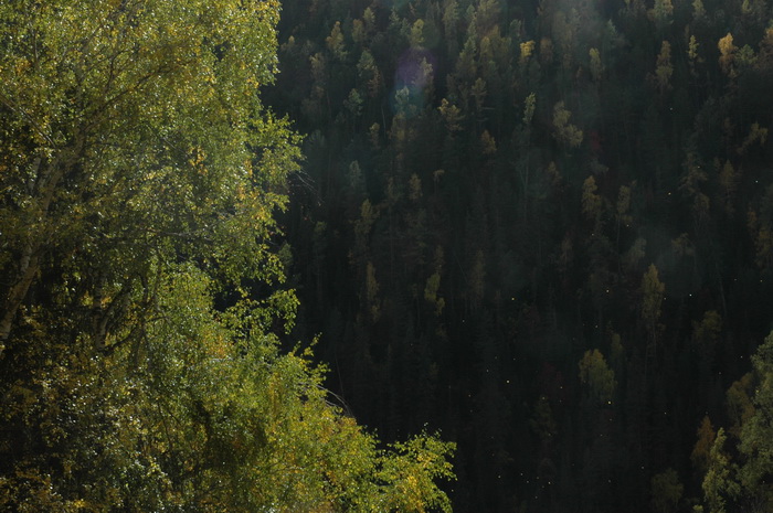 DSC_9932_������С.JPG