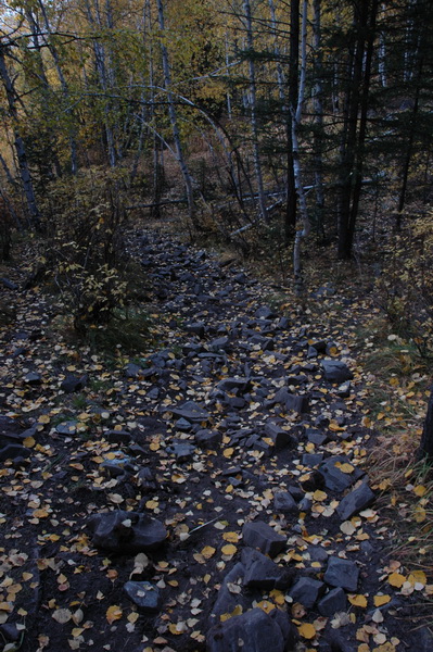 DSC_9991_������С.JPG