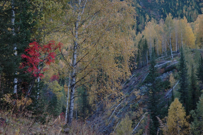 DSC_9997_������С.JPG