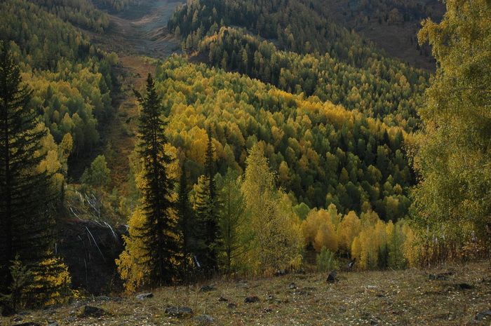 DSC_9984_������С.JPG