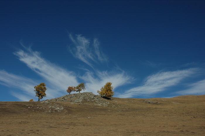 DSC_0166_������С.JPG