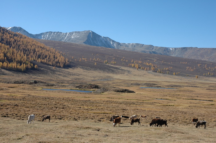 DSC_0146_������С.JPG