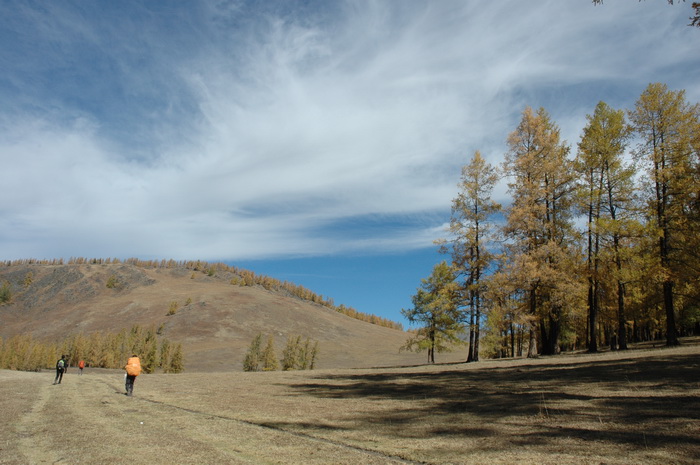 DSC_0184_������С.JPG