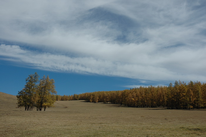 DSC_0187_������С.JPG