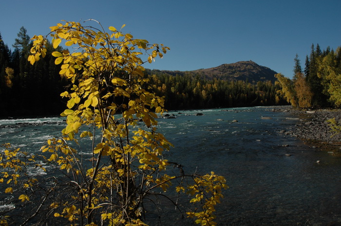 DSC_0231_������С.JPG