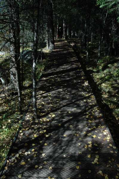 DSC_0236_������С.JPG
