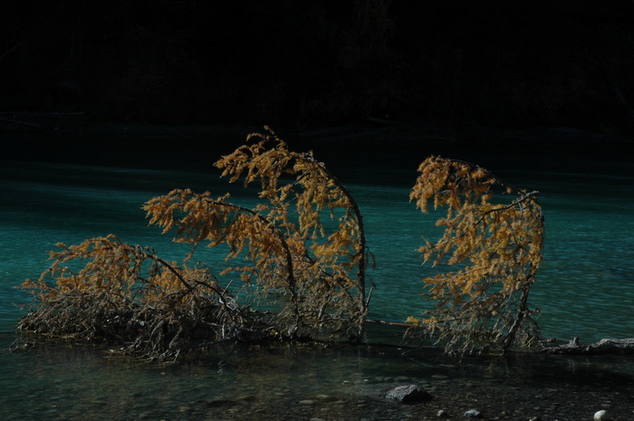 DSC_0245_������С.JPG
