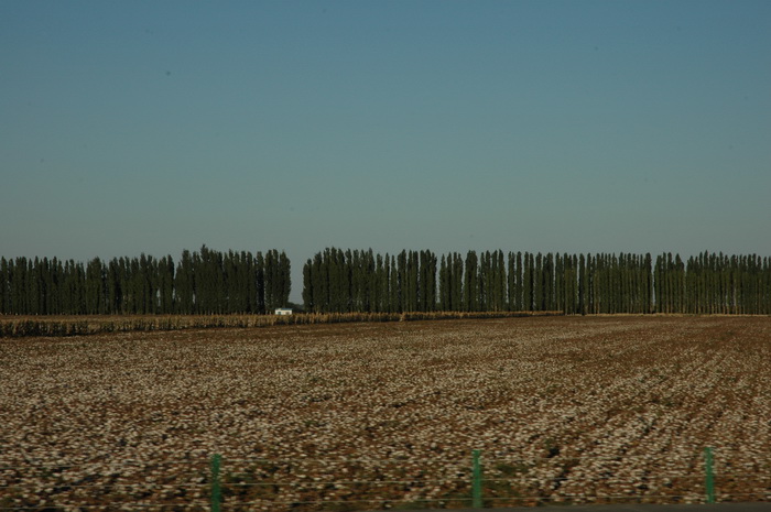 DSC_0508_������С.JPG
