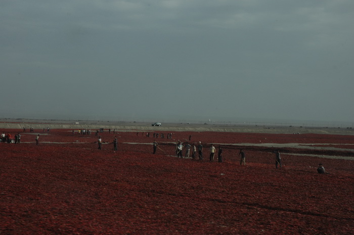 DSC_0548_������С.jpg