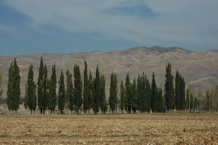 DSC_1490_������С.JPG