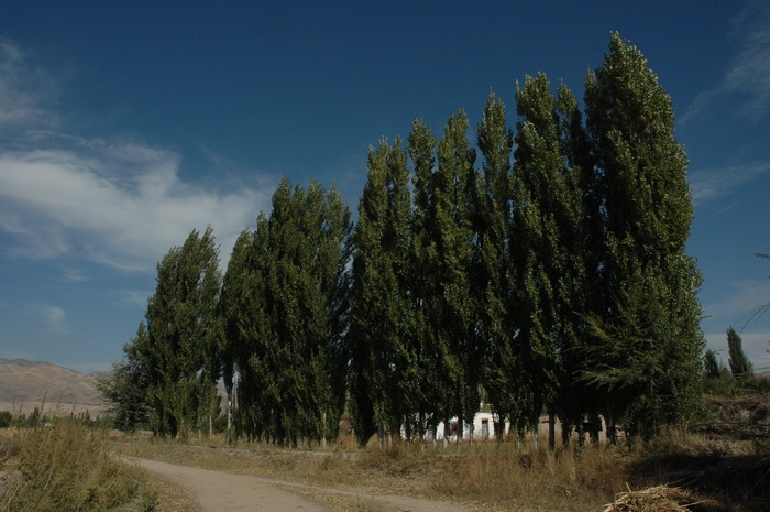 DSC_1553_������С.JPG