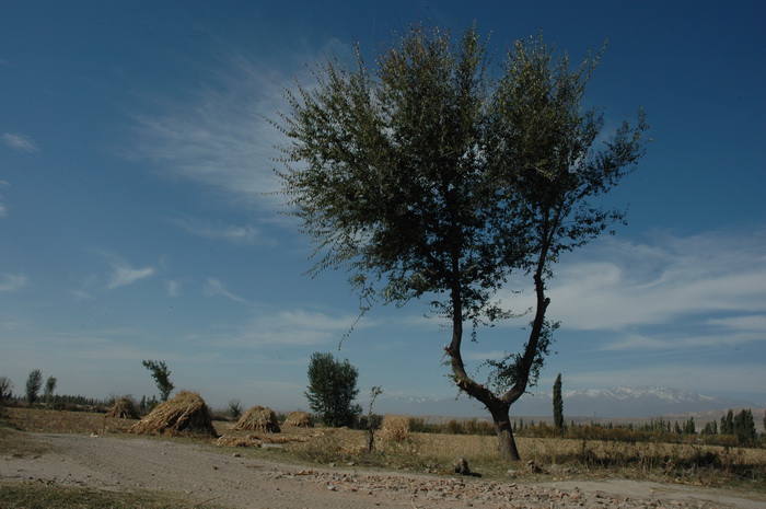 DSC_1561_������С.JPG