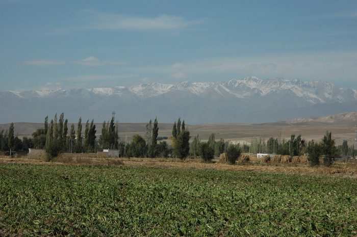 DSC_1565_������С.JPG