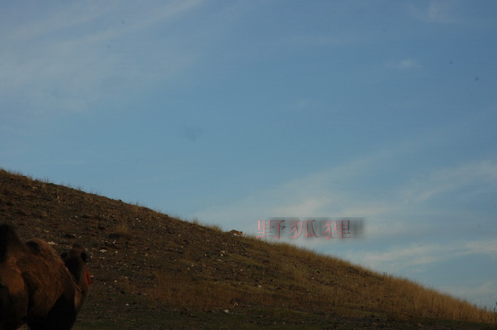 DSC_1308_������С.jpg