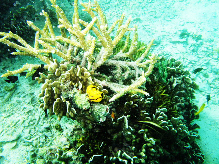 IMG_2947ps.jpg