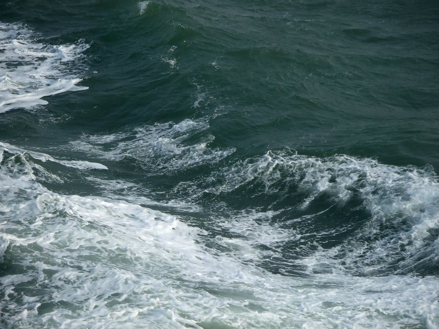 DSCF6753.jpg