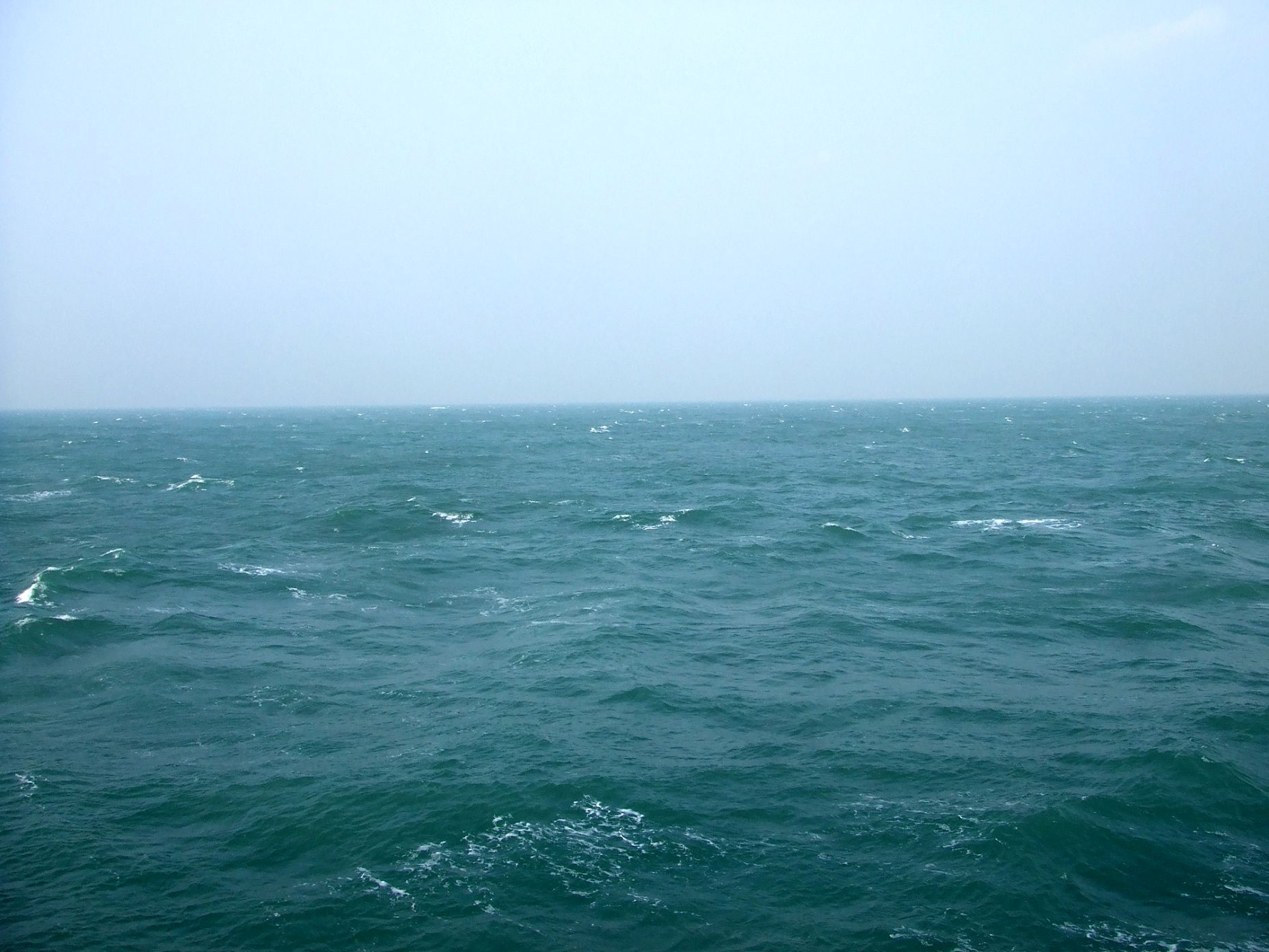 DSCF6773.jpg