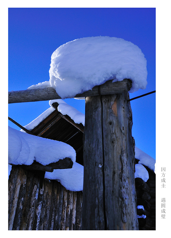 DSC_7899A.jpg