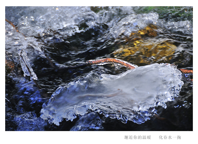 DSC_7934A.jpg