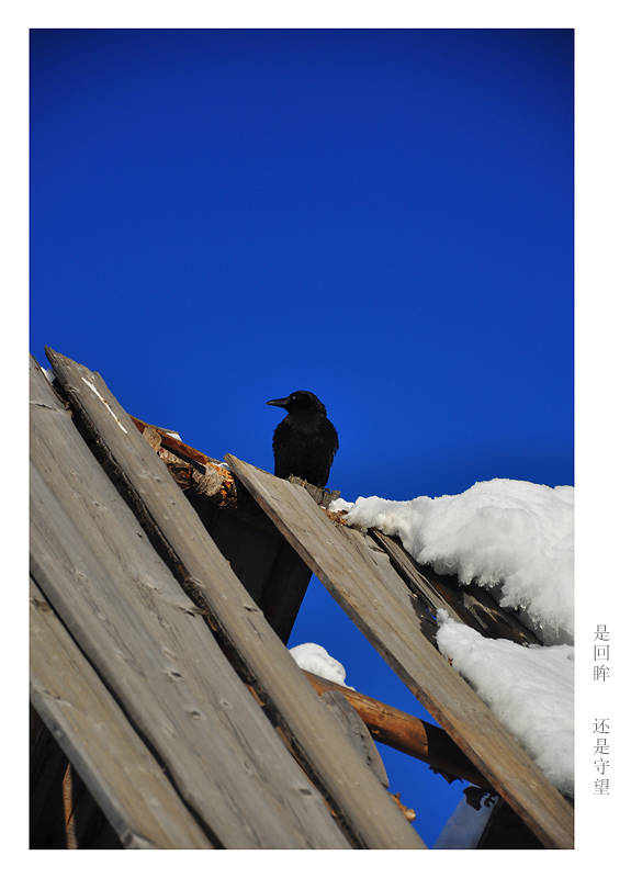 ��Ƭ 009A.jpg