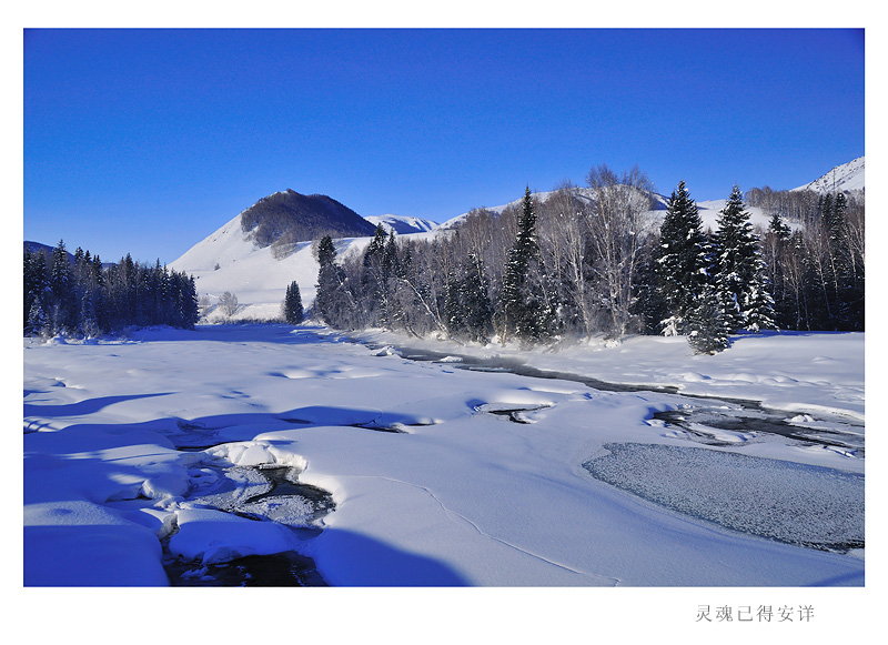 DSC_8316A.jpg