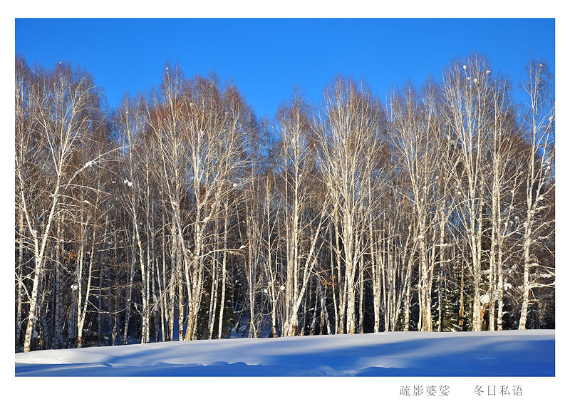 ��Ƭ 043A.jpg