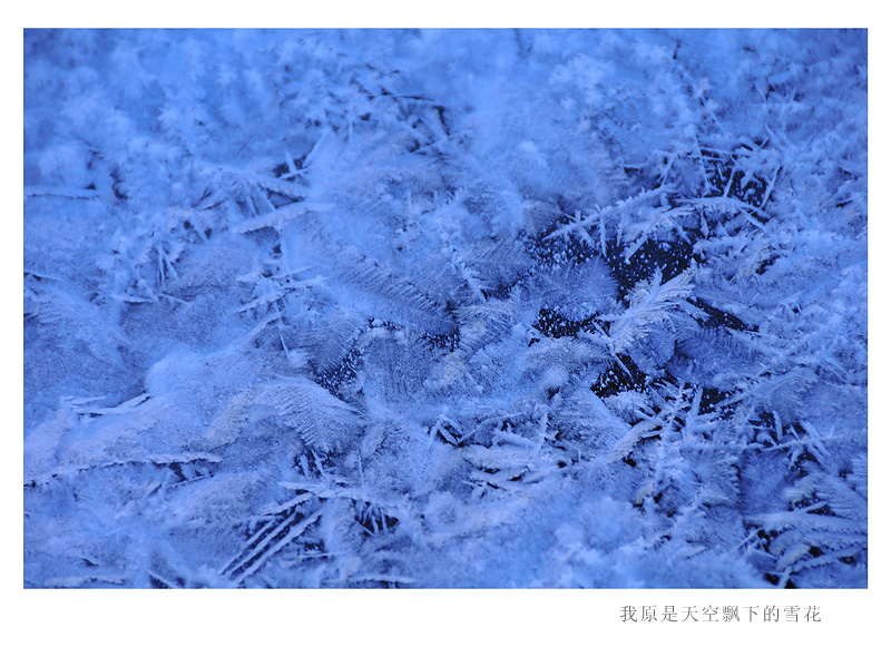 DSC_8324A.jpg
