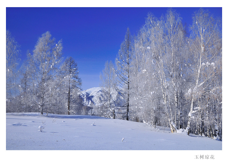 DSC_8375A.jpg