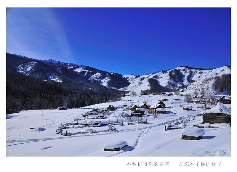 DSC_8160A.jpg
