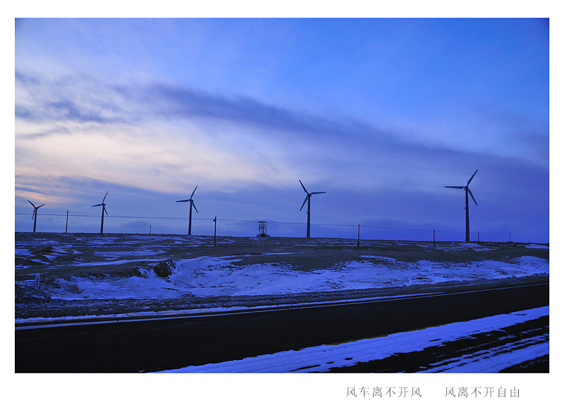 DSC_8468A.jpg