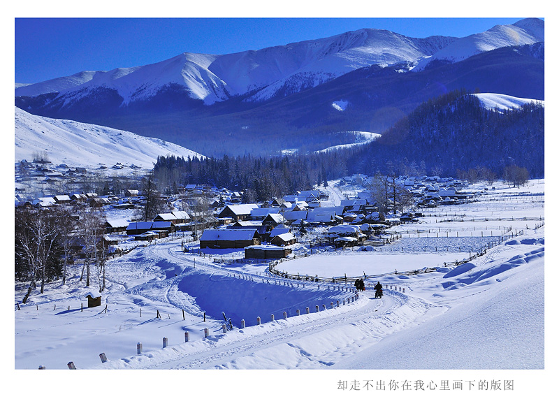 DSC_7910A.jpg