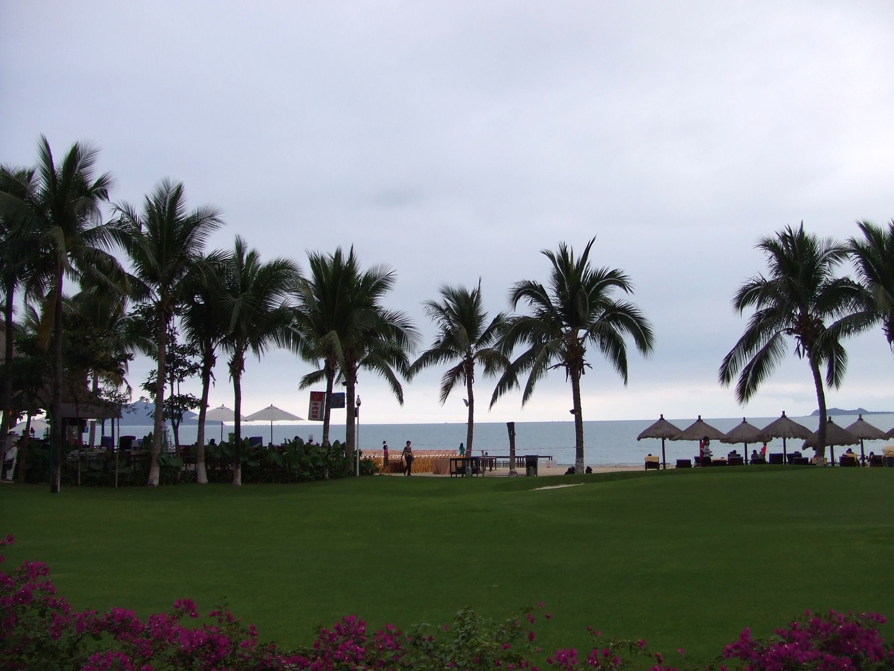 DSCF7308.JPG