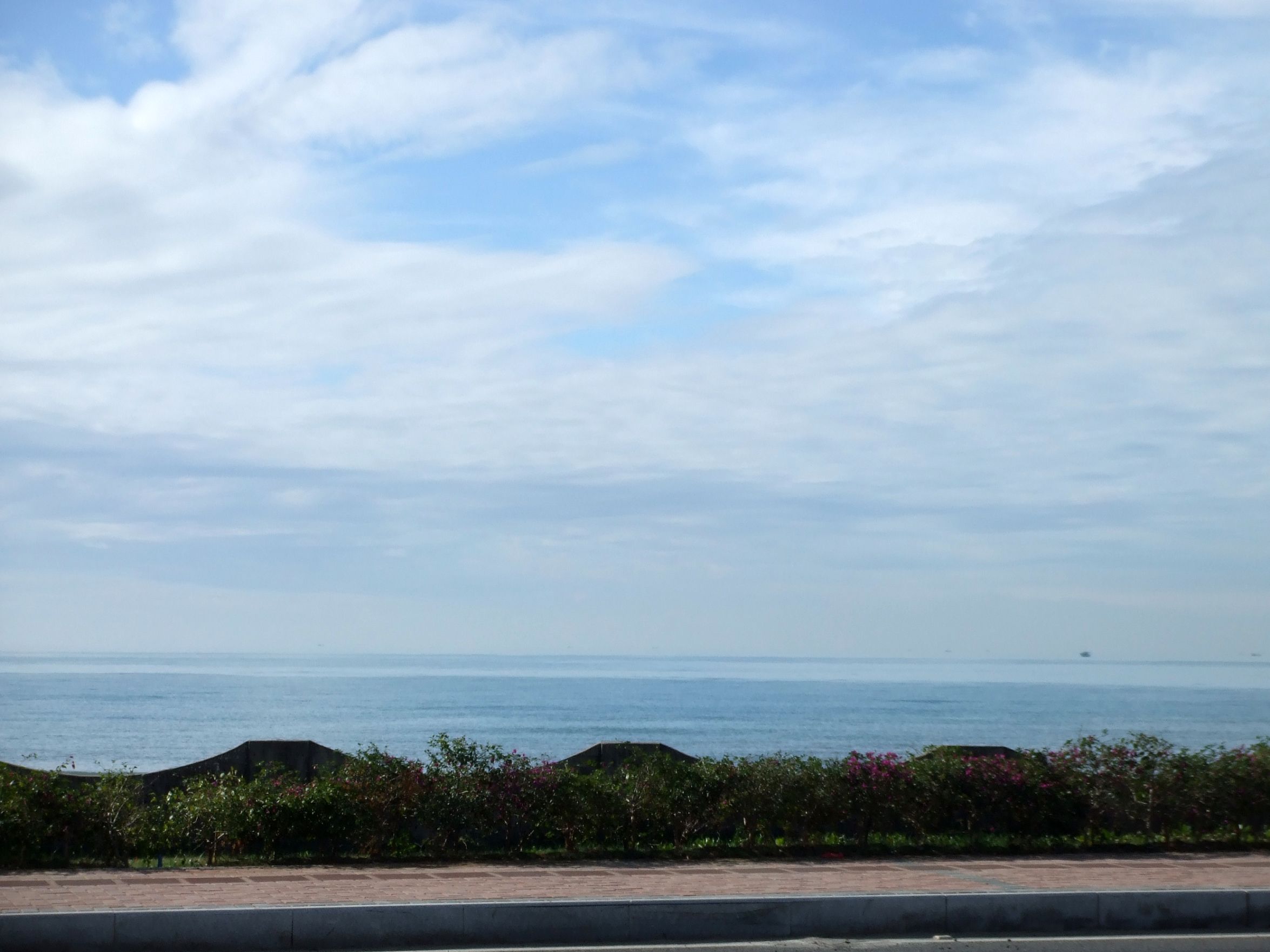DSCF7095.JPG
