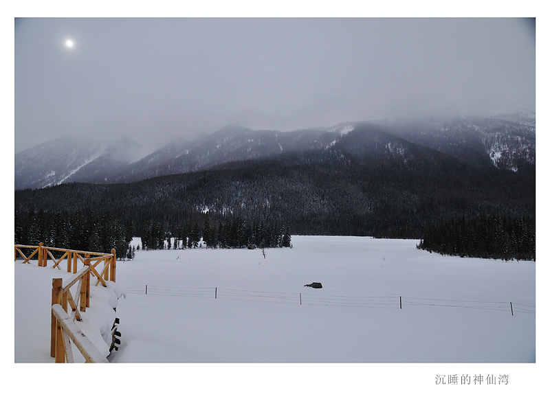 DSC_7747A.jpg