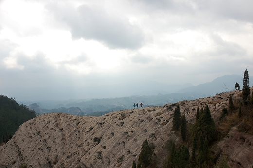 nEO_IMG_DSC_8283.jpg
