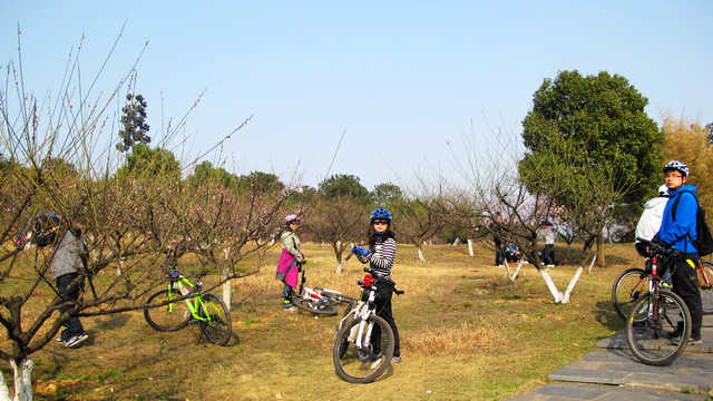 IMG_1118.jpg